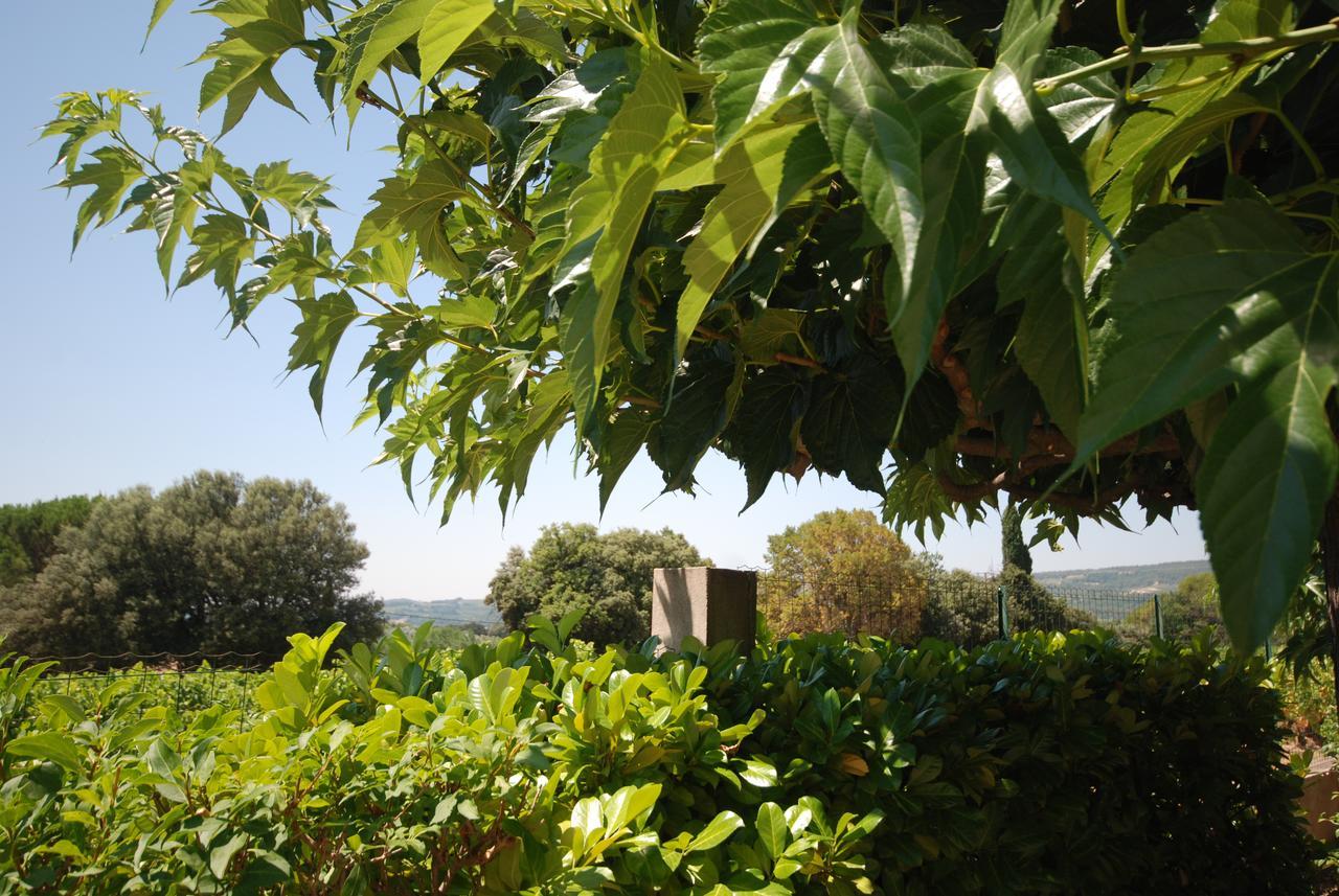 Le Grand Barsan Apartamento Vaison-la-Romaine Exterior foto
